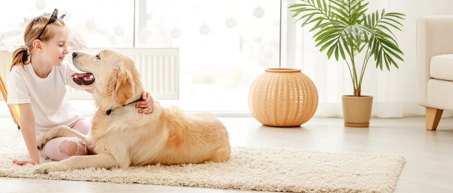 Bright home scene with a child and dog